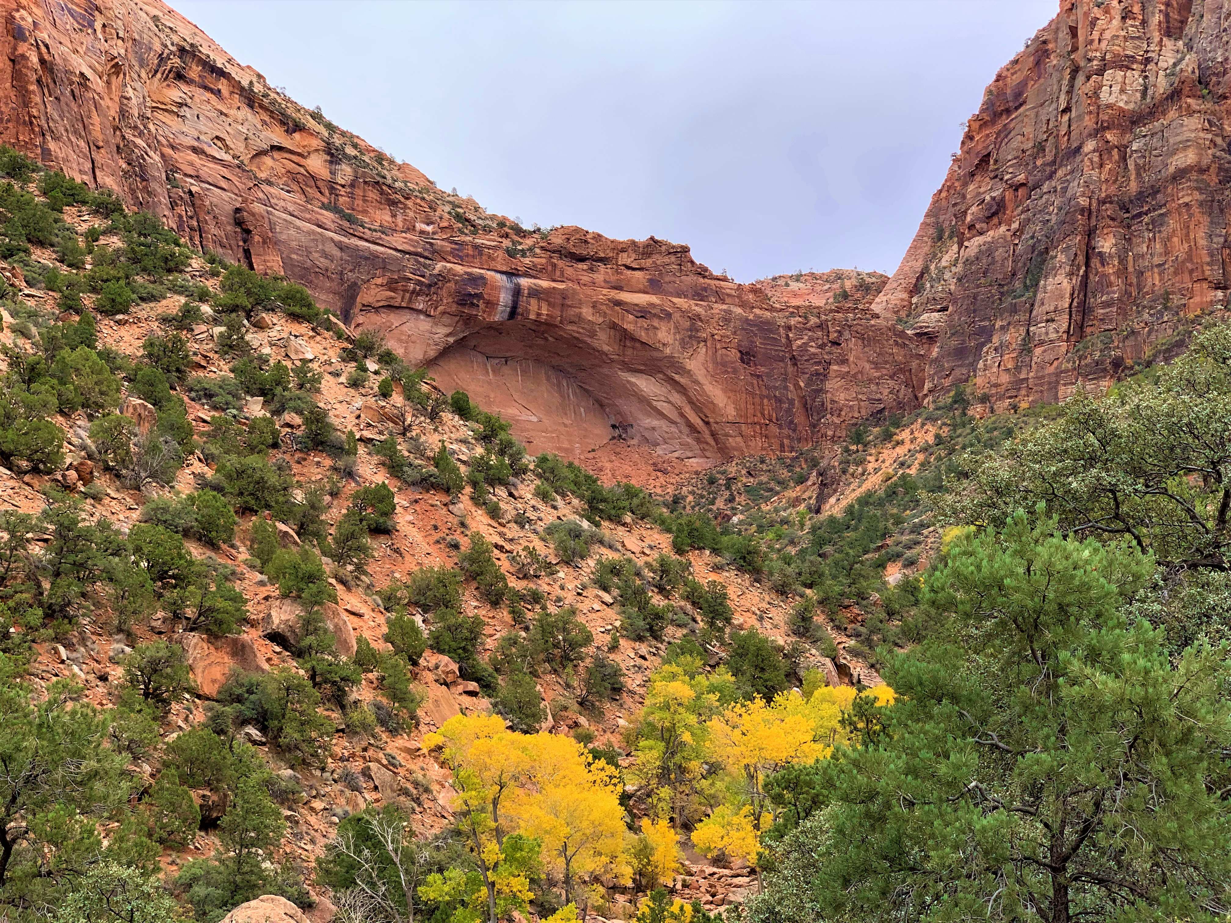 Zion NP